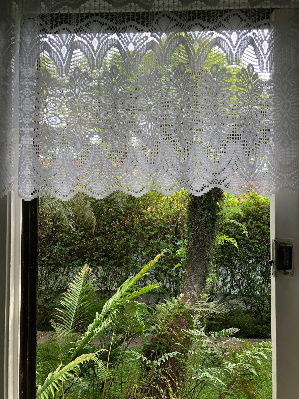 a window with trees outside