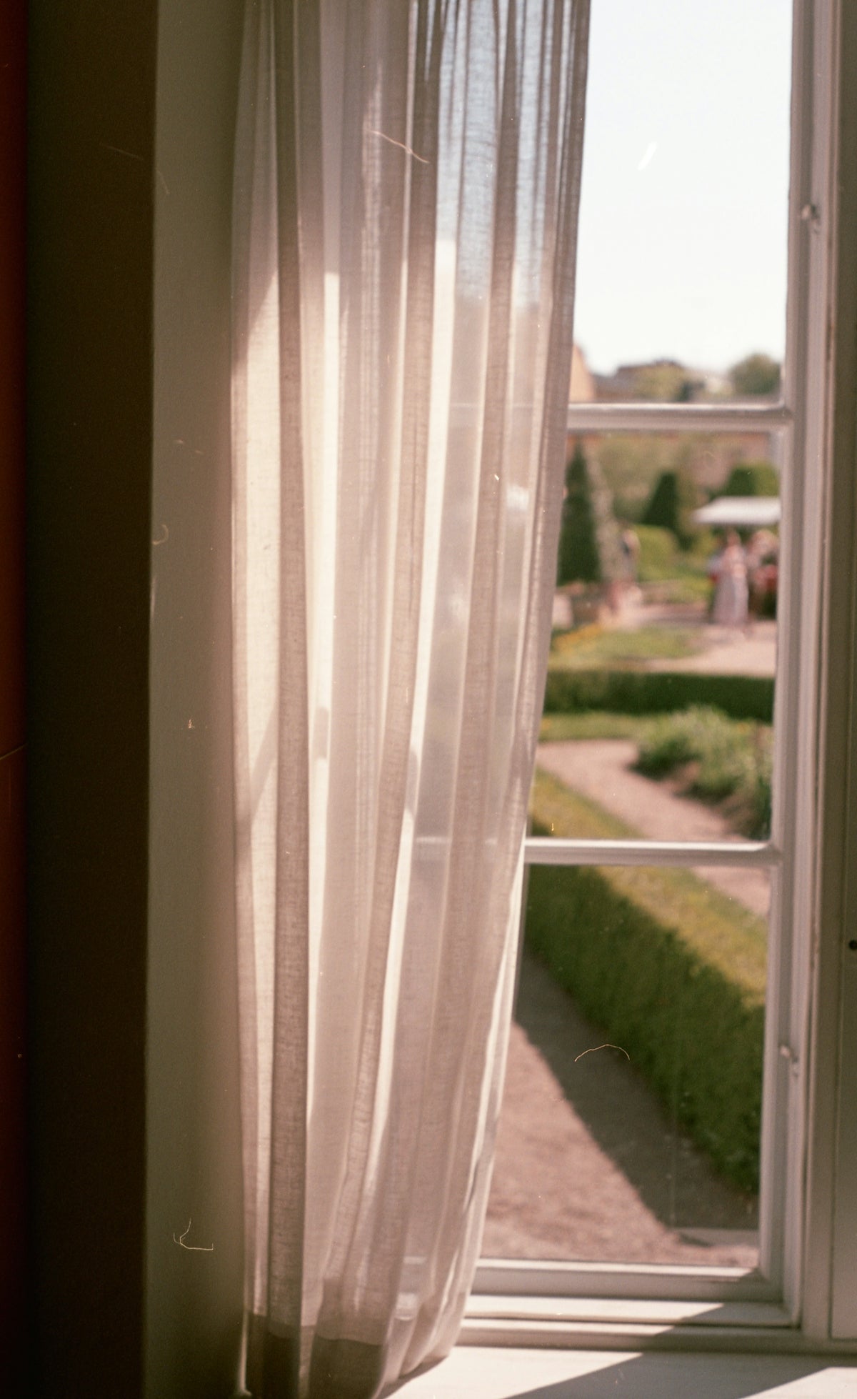 A cat sitting on a window sill looking out the window