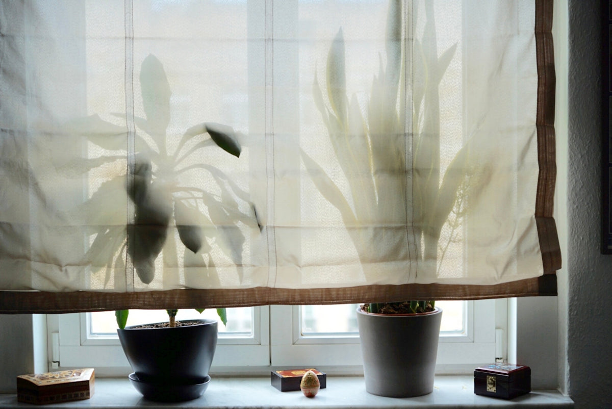 A window with a curtain and a potted plant in front of it